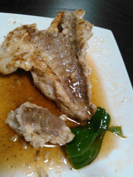 朝マヅメにチヌトップゲーム